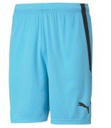 PUMA teamLIGA Şort Mavi